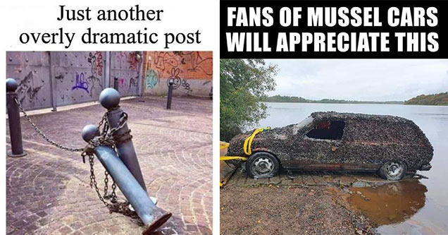 dumb jokes -  fans of mussel cars will appreciate this - car being dragged out of water covered in mussels -  just another overly dramatic post two posts falling onto one another