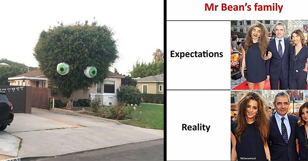 random memes | tree with inflatable eyes | mr beans family expectation vs reality