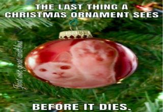 30 Christmas Memes that are Perfect for 2020 - Funny Gallery | eBaum's ...