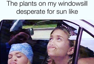 Who doesn't love a good dirty joke or meme with a juvenile sense of humor?  Sometimes a little bit of lowbrow humor is the perfect way to have a couple of laughs or help keep boredom at bay.  Check out this batch of spicy memes and adult-themed pics that are sure o send your mind into the gutter.
<br/><br/>
Check out our HUGE collection of SPICY content <a href="https://www.ebaumsworld.com/search/sex+memes/newest/"><b><u>HERE</u></b></a>.