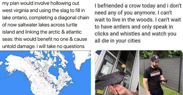 funny posts -  nick Mullen met a crow and now wants to live in the woods -  tumblr post about filling in lake ontario