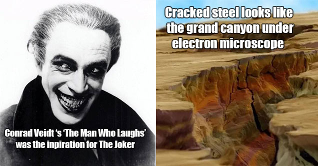 fascinating photos -  conrad veidt was the inspiration for the joker - a crack in steel looks like the grand canyon under electron microscope