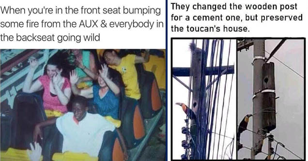 ain t even excited - When you're in the front seat bumping some fire from the Aux & everybody in the backseat going wild | Utility pole - They changed the wooden post for a cement one, but preserved the toucan's house.