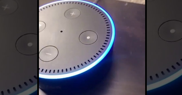 a photo of an alexa that is lit up