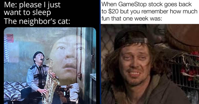 sausage mcmuffin buscemi - When GameStop stock goes back to $20 but you remember how much fun that one week was | music - Me please I just want to sleep The neighbor's cat