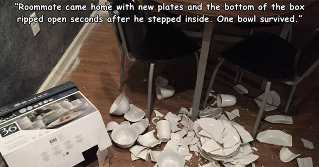 funny fails | roommate came home with new plates and the bottom of the box popped open seconds after he stepped inside one bowl survived