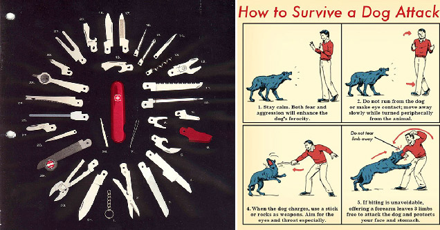 swiss army knife diagram contents infographic - how to survive a dog attack step-by-step instructions