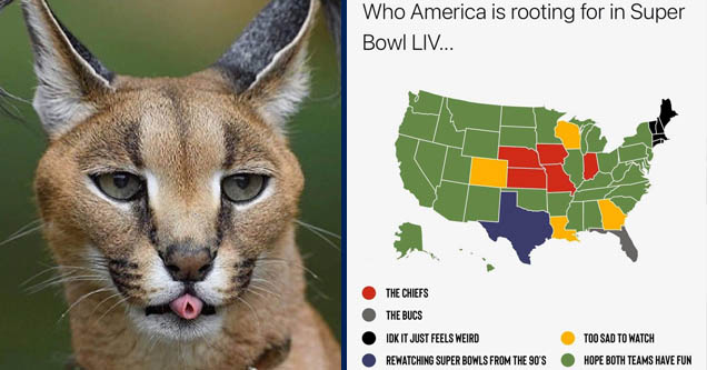 lynx funny | new york travel advisory - Who America is rooting for in Super Bowl Liv... The Chiefs The Bucs Idk It Just Feels Weird Too Sad To Watch Rewatching Super Bowls From The 90'S Hope Both Teams Have Fun