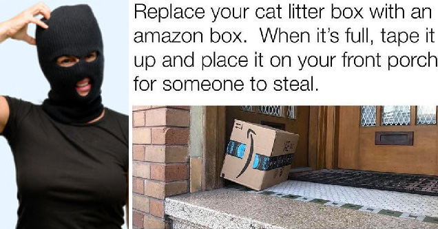 replace your cat litter box with an amazon box. when it's full, tape it up and place it on your front porch for someone to steal