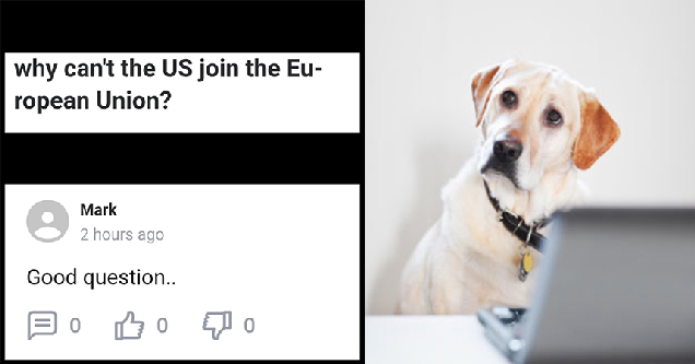 confused dog sitting at computer - why can't the u.s. join the european union? good question