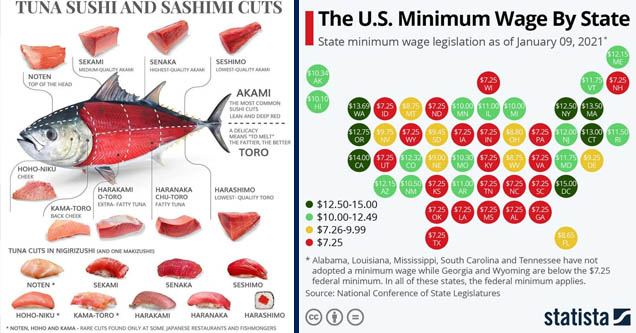 Sashimi - Tuna Sushi And Sashimi Cuts Sekami Medium Quality Akami Senaka Highest Quality Akami Seshimo LowestQuality Akami Noten Top Of The Head Akami The Most Common Sushi Cuts Lean And Deep Red A Delicacy Means  | The U.S. Minimum Wage By State State mi