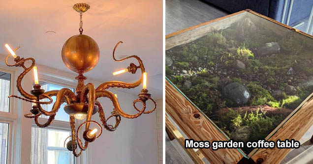 cool pics, cool designs |octopus chandelier | cool indoor moss - My indoor moss garden coffee table.