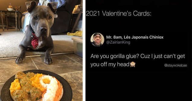 a meme about valentines day and the gorilla glue accident