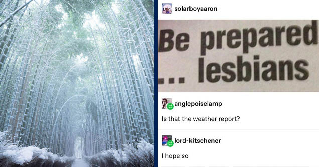 path of frozen bamboo | number - solarboyaaron Be prepared lesbians anglepoiselamp Is that the weather report? lordkitschener I hope so