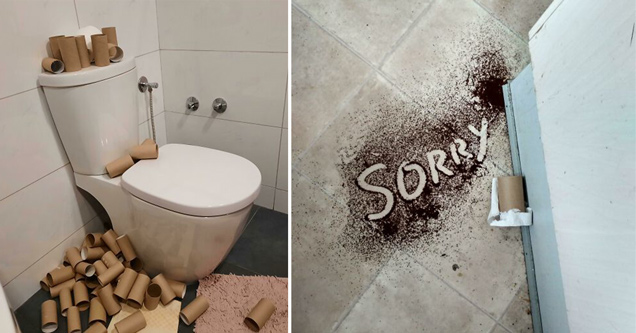 toilet covered in empty toilet paper rolls - spilled coffee grounds that say sorry