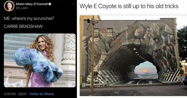 funny and fresh pics and memes |me where's my scrunchie carrie bradshaw - wyle e coyote is still up to his old tricks