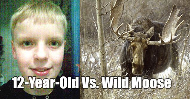 12 year-old fights off mouse with world of warcraft knowledge