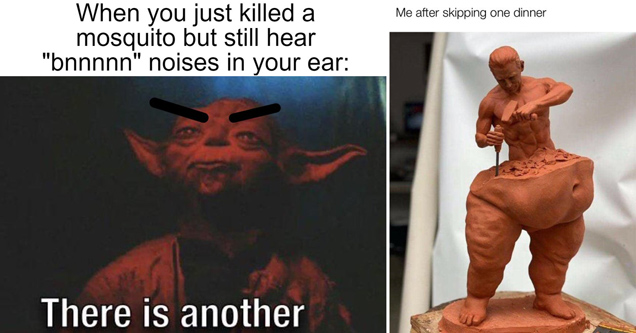 yoda angry eyebrows meme. when you just killed a mosquito but still hear bnnnn noises in your ear: there is another - me after skipping one dinner