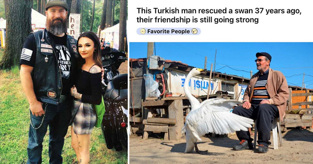 biker who looks out for child abuse victims standing next to woman - this turkish man rescued a swan 37 years ago their friendship is still going strong