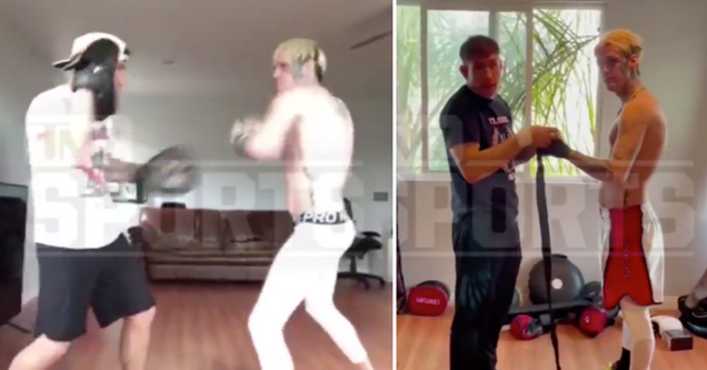 aaron carter training to box lamar odom