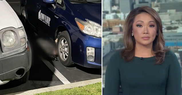 local news reporting on car thief who died while stealing a catalytic converter