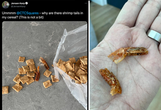 When a guy discovered some desiccated shrimp tails inside his bag of <Strong><a href="https://www.ebaumsworld.com/videos/cinnamon-toast-crunch-kit-kat-should-this-snack-exist/86339600/">Cinnamon Toast Crunch</a></strong> cereal, he reached out to General Mills for some answers.
</br>
</br>
Unfortunately, the brand claimed he was lying and demanded he send them the <Strong><a href="https://www.ebaumsworld.com/videos/feeding-a-carrot-to-an-aquarium-full-of-tiny-shrimp/86195456/">shrimp tails</a></strong> so they could dispose of them entirely and cover it up.
</br>
</br>
This was after of course he'd already eaten a bowl from that bag. Here's the whole disturbing saga, in case you were considering buying any of this <strong><a href="https://www.ebaumsworld.com/pictures/60-years-of-cereals-what-was-released-the-year-you-were-born/86076884/">crap cereal</a></strong> anytime soon.