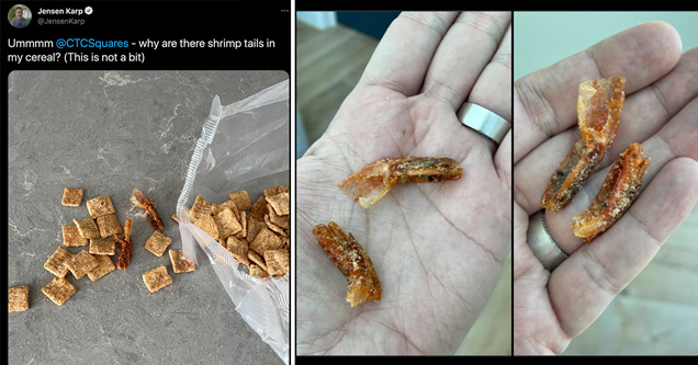 shrimp tails cinnamon toast crunch meme