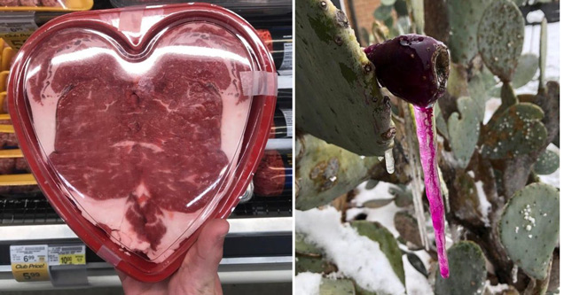 heart-shaped beef steak - purple icicle from cactus