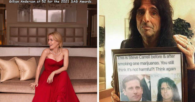 gown - Gillian Anderson at 52 for the 2021 Sag Awards. | alice cooper steve carrell - This is Steve Carrell before & after smoking one marijuanas. You still think it's not harmful?! Think again Hicles