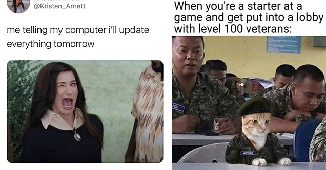 funny gaming memes -  me telling my computer I'll update everything tomorrow - winking agatha meme - cat in the army -  when you're a starter at a game and get put into a lobby with level 100 veterans