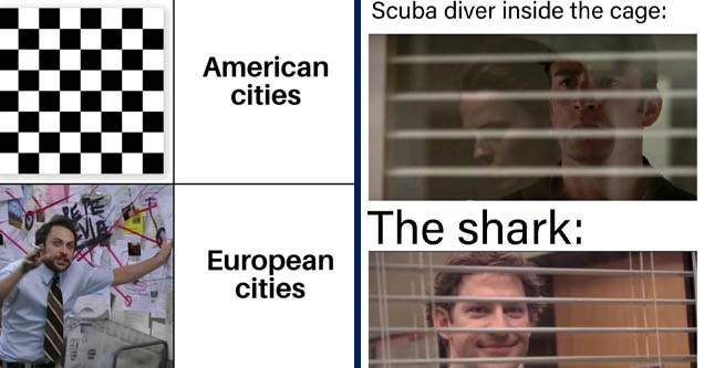 queens gambit memes - American cities M European cities | hello mr fbi agent how are you - Scuba diver inside the cage The shark