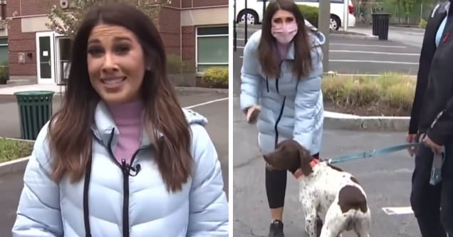 Juliana Mazza of Channel 7 News Boston catches dognapper while reporting on same story