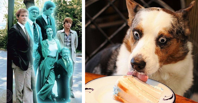 a photo of the cast of starwars with those who died as spirits and a dog eating cake