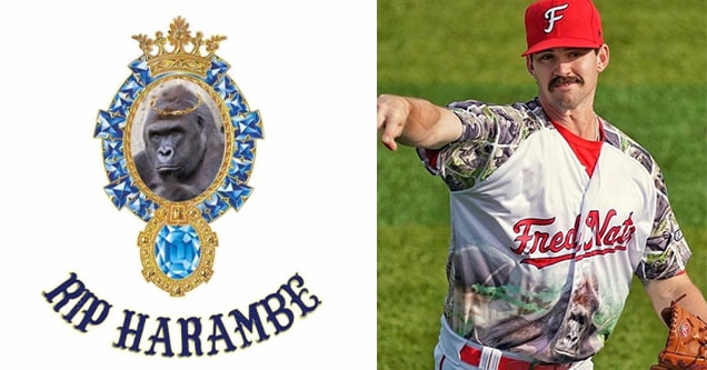 Fredericksburg Nationals on X: Tonight our players are wearing custom  Harambe jerseys as our ultimate tribute to our sweet prince   / X