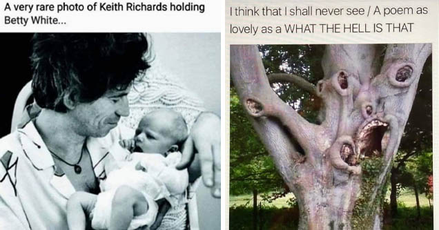 keith richards holding betty white - A very rare photo of Keith Richards holding Betty White... | crooked forest in poland - I think that I shall never see A poem as lovely as a What The Hell Is That