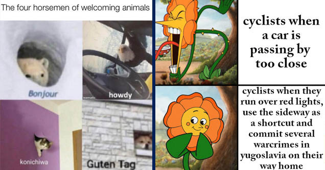 bonjour howdy konichiwa - The four horsemen of welcoming animals Bonjour howdy mematic konichiwa Guten Tag | sunflower meme template - cyclists when a car is passing by too close cyclists when they run over red lights, use the sideway as a shortcut and co