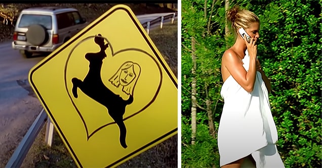 Stacy's mom and Deer crossing sign