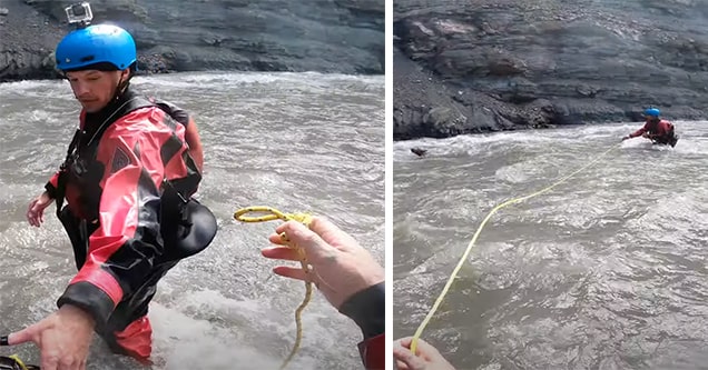 kayaker saves baby moose in canada