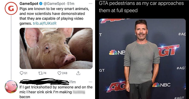 Funny memes and pics -  Pigs are learning how to play video games -  If i get trick shoted by a pig and they go oink oink, Im making bacon -  NPC in GTA looking at me driving at them -  simon cowell