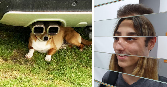 dog behind tailpipe, mirrored image