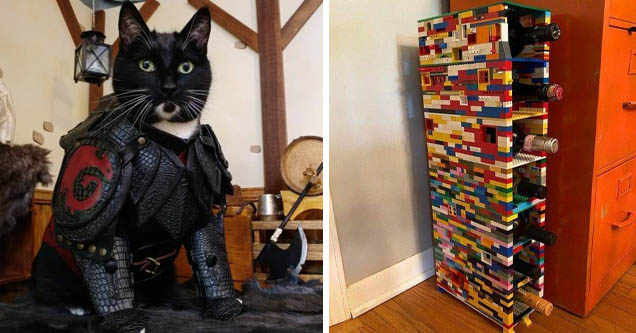 dragon cat armor | bookcase - Lo Va