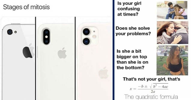 iphone mitosis - Stages of mitosis iPh | your girl the quadratic formula - Hey fellas, Is your girl confusing at times? Does she solve your problems? Is she a bit bigger on top than she is on the bottom? That's not your girl, that's b2 4ac 2a The quadrati