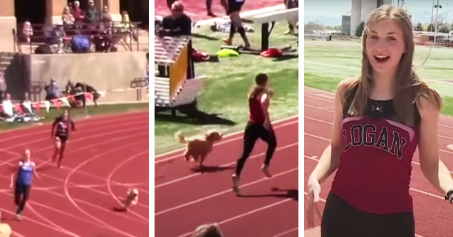 dog enters track race