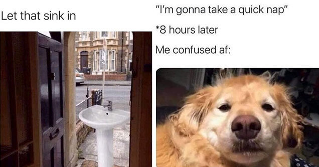 funny gaming memes - let that sink in - sink standing near the door -  me after an eight hour nap -  funny dog meme