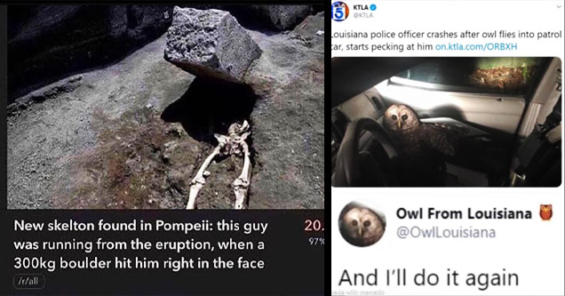 pompeii guy crushed by boulder, louisiana owl