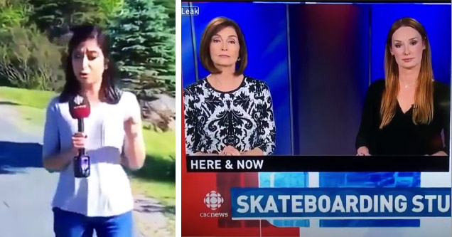 news reporter drops f-bomb on live tv