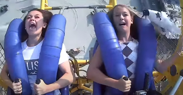 a girl getting hit in the face by a seagull