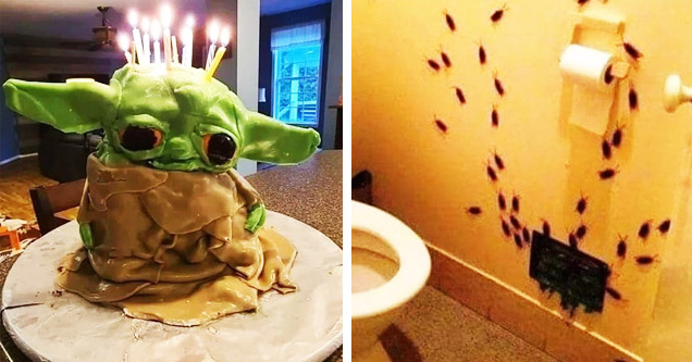 melted yoda cake, insects swarming out of wall