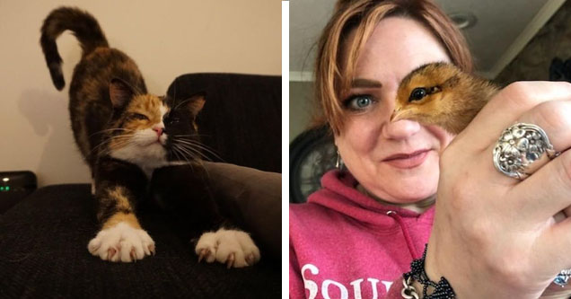 cat merging with couch, lady with bird eye