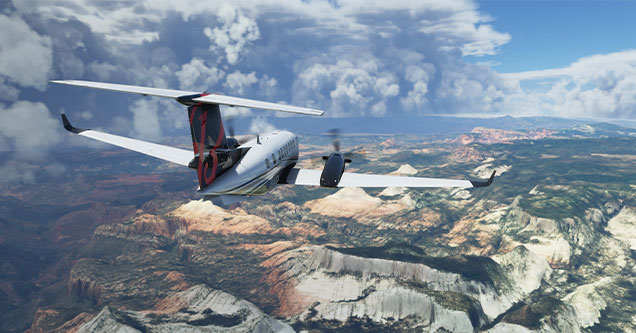 games that thrived in 2020 - Microsoft Flight Simulator